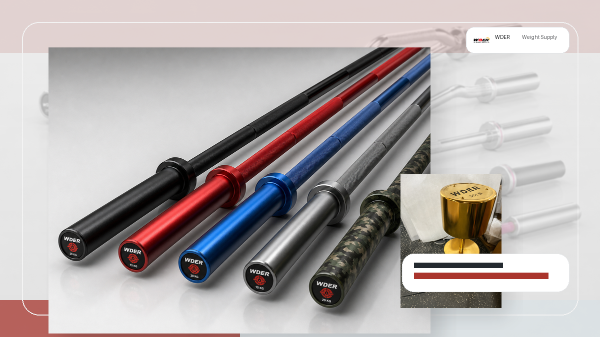 weight plate insert fit sleeve compatibility procurement guide for Россия и рынки СНГ