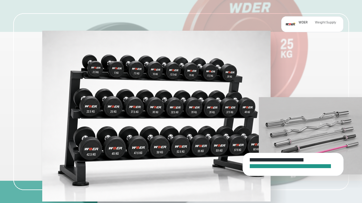 sistema cores OEM anilhas packing and RFQ visual for Brasil e mercados lusófonos