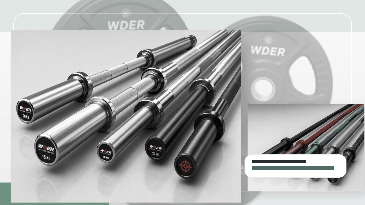 branch transfer label gym weights procurement guide for India and South Asia