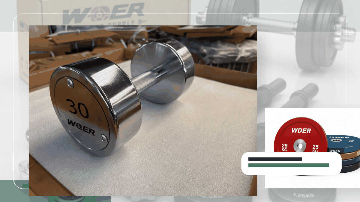 pallethoogte gymgewichten procurement guide for Nederland en Benelux