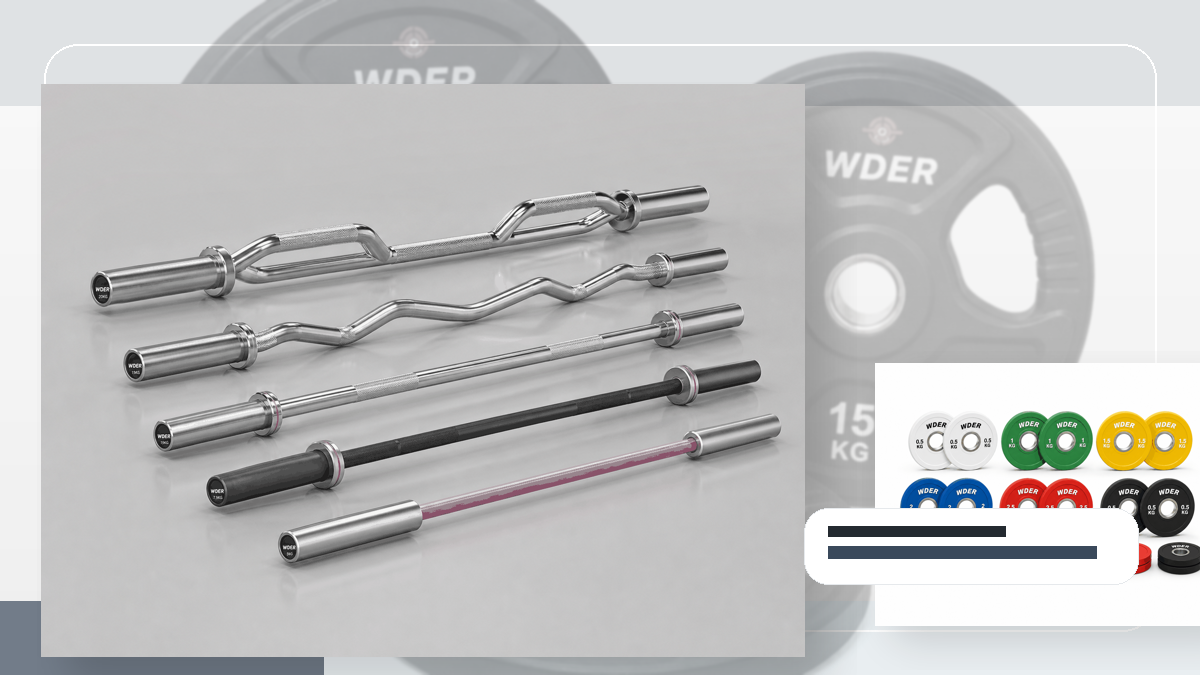 Master Data Freeze Gym Weights procurement guide for DACH-Region
