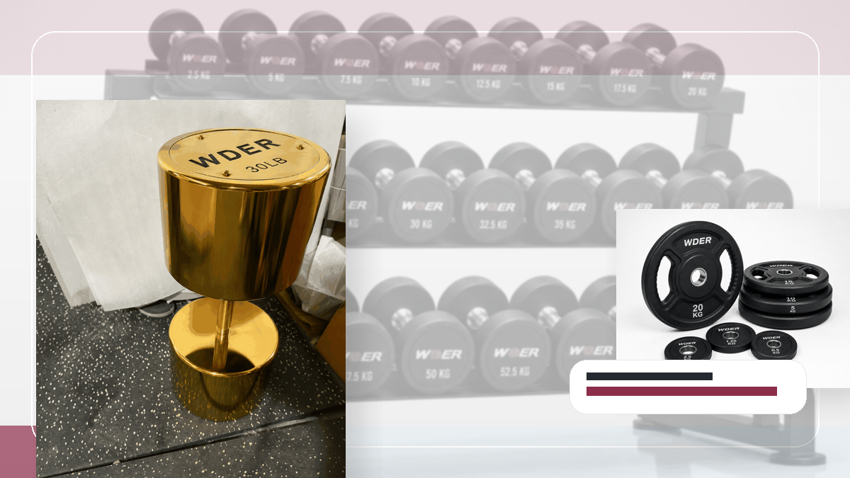 master data freeze gym weights QC and warehouse receiving visual for India and South Asia