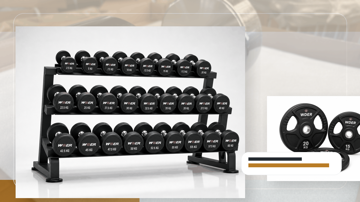 showroom sample private label gymgewichten procurement guide for Nederland en Benelux