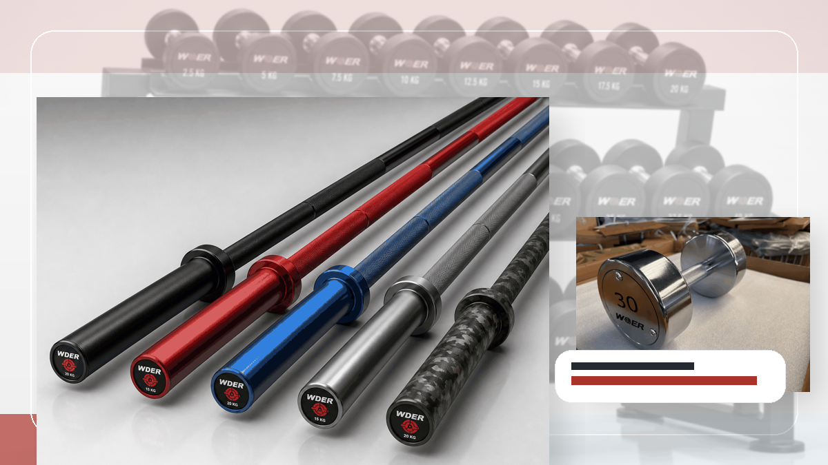 master data freeze gymgewichten QC and warehouse receiving visual for Nederland en Benelux
