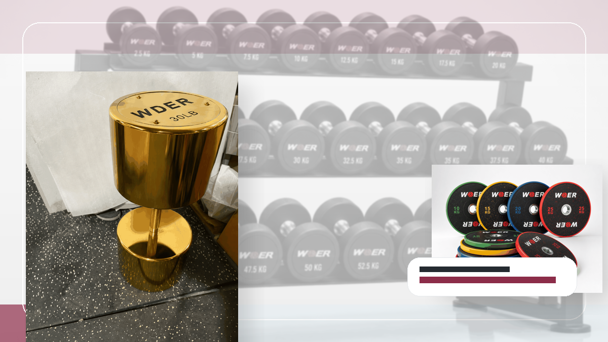 موعد مراجعة المستندات الجمركية أوزان الصالات QC and warehouse receiving visual for الخليج والأسواق العربية