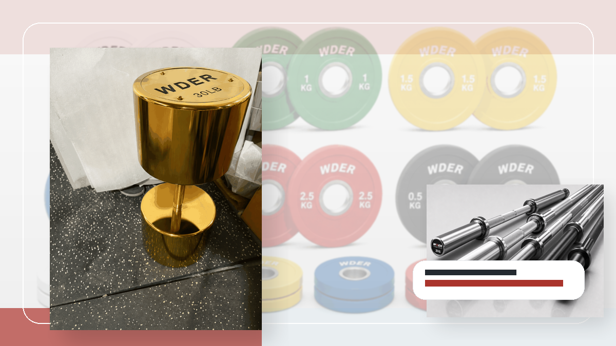 destination branch priority gym weights procurement guide for 한국 및 동아시아 B2B 시장
